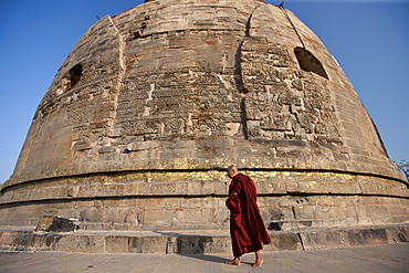 Buddhist monk praying as he walks around Dhamakh Stupa at Sarnath ruins near Varanasi, Benares, Northern India