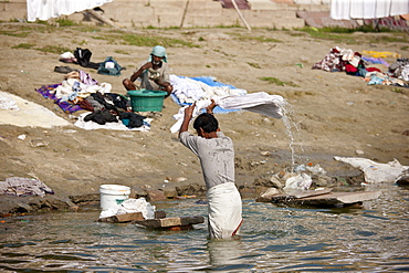 Indian man doing laundry using flogging stone in waters of The Ganges River at Cabua Pandey Ghat in Varanasi, Benares, India