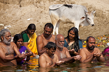 Indian Hindu men and women bathing and praying in the River Ganges by Kshameshwar Ghat in holy city of Varanasi, India