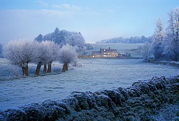 Heavy frost at Swinbrook in Oxfordshire, England