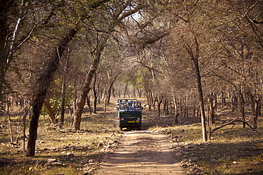 Tour group of eco-tourists in Ranthambhore National Park, Rajasthan, Northern India