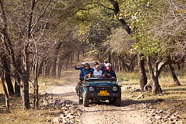 Tour group of eco-tourists in Maruti Suzuki Gypsy King 4x4 vehicle in Ranthambhore National Park, Rajasthan, Northern India