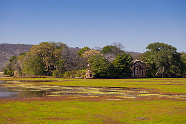 Rajbagh Lake and Maharaja of Jaipur Hunting Lodge in Ranthambhore National Park, Rajasthan, Northern India