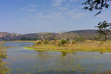 Eco-tourists by Padam Lake and Jogi Mahal hunting lodge in Ranthambhore National Park, Rajasthan, Northern India