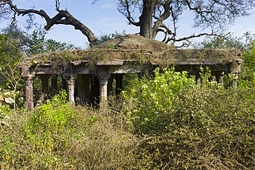 Hunting Lodge ruins by the entrance to Ranthambhore National Park, Rajasthan, Northern India