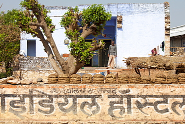 Indian villager at home with dried cow dung for fuel in Sawai Madhopur in Rajasthan, Northern India