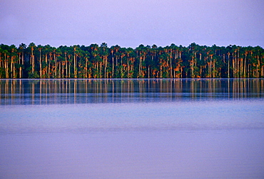 Lake Sandoval, Peruvian Rainforest, South America