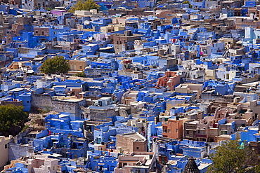 The Brahman Blue City, Brahmpuri area, of Jodhpur in Rajasthan, Northern India