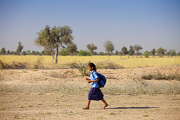 Young Indian girl in school uniform walking barefoot to her school near Rohet in Rajasthan, Northern India