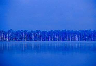 Lake Sandoval in the protected reserved zone Tambopata, Peruvian Rainforest, South America