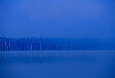 Lake Sandoval in the protected reserve zone Tambopata, Peruvian Rainforest, South America