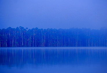 Lake Sandoval in the protected reserved zone Tambopata Peruvian Rainforest, South America