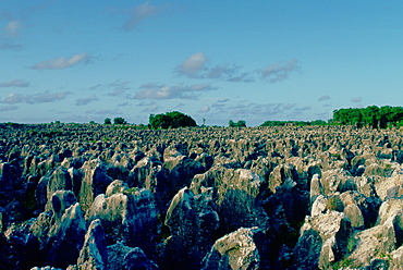 Worked out phosphate (fertiliser) fields on the island of Nauru in the South Pacific