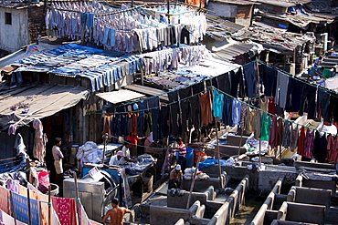 Indian hand laundry, Dhobi Ghat, and laundrymen using traditional flogging stones to wash clothing at Mahalaxmi, Mumbai, India