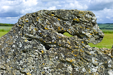 The Rollright Stones monument ancient stone shaped like an animal's head at Little Rollright in The Cotswolds, Oxfordshire, UK