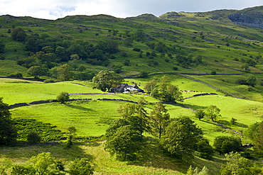 Hill farm near Ambleside in the Lake District National Park, Cumbria, UK