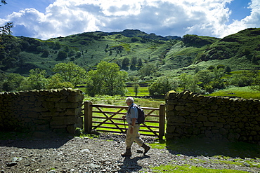 Tourist walking on nature trail in lakeland countryside at Easedale in the Lake District National Park, Cumbria, UK