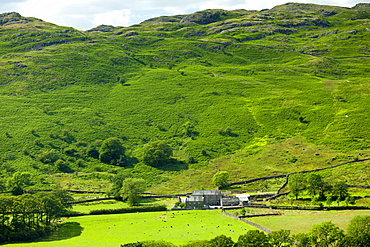 Hill farm smallholding in Hard Knott Pass near Eskdale in the Lake District National Park, Cumbria, UK