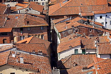 Rooftops and traditional architecture in Lucca, Italy