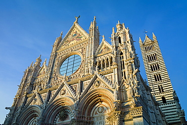 Il Duomo di Siena, the Cathedral of Siena, Italy