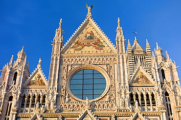 Il Duomo di Siena, the Cathedral of Siena, Italy