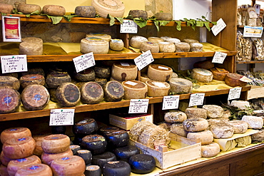 Italian artisan cheese shop, Del Bottega Naturista in Corso Rossellino including Pecorino Stagionato aged cheese in Pienza, Tuscany, Italy