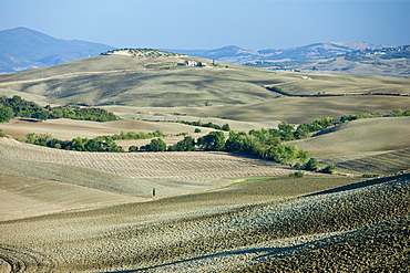 Undulating hills by San Quirico d'Orcia, in the Val D'Orcia area of Tuscany, Italy