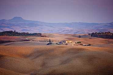 Typical Tuscan landscape near San Quirico D'Orcia  in Val D'Orcia, Tuscany, Italy