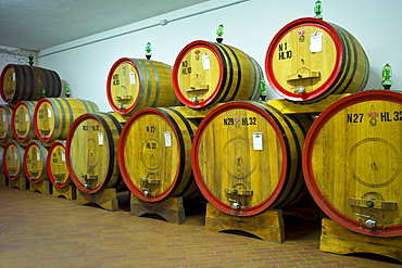 La Fornace Brunello di Montalcino wine stored in barrique barrels at the wine estate of La Fornace in Val D'Orcia, Tuscany, Italy