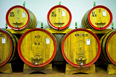 La Fornace Brunello di Montalcino wine stored in barrique barrels at the wine estate of La Fornace in Val D'Orcia, Tuscany, Italy