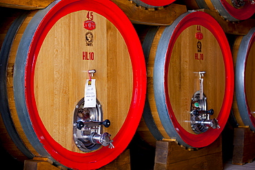 Brunello di Montalcino 2010 vintage wine stored in barrique barrels at the Palazzo wine estate in Val D'Orcia, Tuscany, Italy