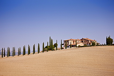 Typical Tuscan farmhouse and landscape in Val D'Orcia, Tuscany, Italy