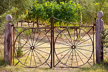 Farm gateway of wrought iron near Montalcino, Val D'Orcia, Tuscany, Italy