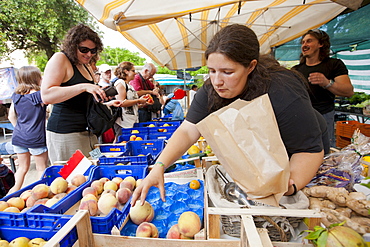 Woman selling fresh fruit at weekly street market in Panzano-in-Chianti, Tuscany, Italy