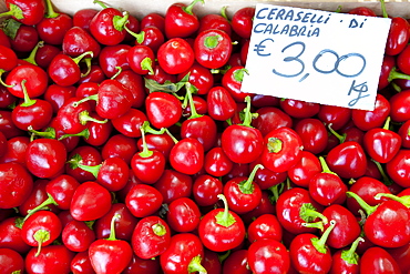 Pimento peppers, Ceraselli di Calabria, on sale at weekly street market in Panzano-in-Chianti, Tuscany, Italy