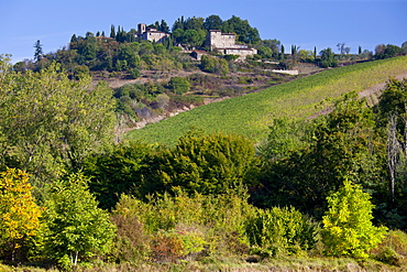 Castelvecchi with Chianti vineyard in foreground on Via Aldo Moro, Chianti, Tuscany, Italy