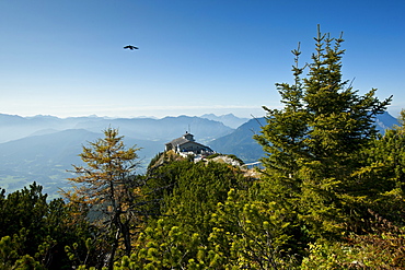 Crow flying over Eagle's Nest, Kehlsteinhaus, Hitler's lair at Berchtesgaden in the Bavarian Alps, Germany