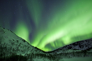 The Aurora Borealis, the spectacular Northern Lights fill the sky with dazzling green light above Kvaloya island at Tromso in the Arctic Circle in Northern Norway