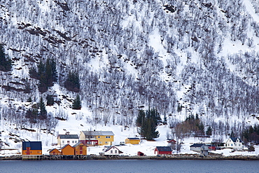 Homes and fishing huts  in hamlet across fjord from Sandneshamnvegen 862 on Kvaloya Island, Tromso, Arctic Circle, Northern Norway