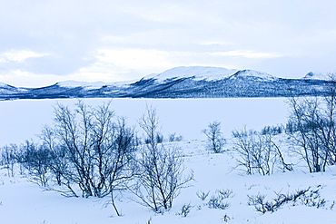 Frozen Kilpisjarvi lake with Sweden in the background in arctic wilderness at nightfall by Kilpisjarvi, Finland