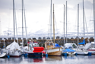 Yachts and sailing boats moored in the harbour at Tromso, Northern Norway