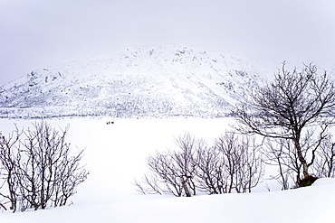 Ice fishing on frozen lake in the arctic alps in the Arctic Circle on Ringvassoya Island in the region of Tromso, Northern Norway