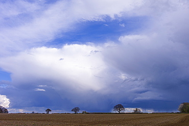 Cloud formation Cumulonimbus with Cirrus high above top left over agricultural land in Swinbrook in the Cotswolds, Oxfordshire, UK