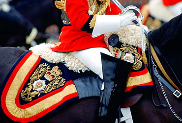 Close up detail of the uniform and tack of a mounted guardsman of the Lifeguards at the Trooping the Colour ceremony, London