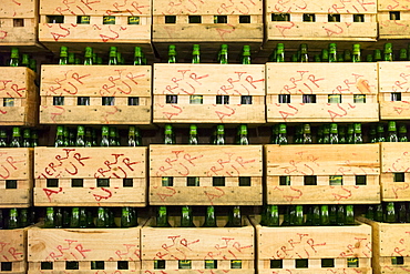 Asturian sidra (cider), regional speciality at Sidreria in Calle San Francisco in Aviles, Asturias, Northern Spain