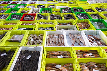 Fresh fish at Confradia de Pescadores de Luarca, Confederation of Luarca Fishermen, at Puerto Luarca in Asturias, Spain