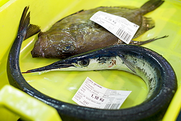 Auction of freshly-caught fish at Confradia de Pescadores de Luarca, Confederation of Luarca Fishermen, Puerto Luarca, Spain