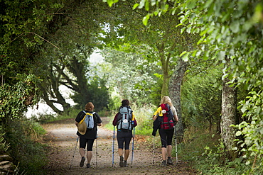 Pilgrim group with shells on rucksacks on the Camino de Santiago Pilgrim's Walk to Santiago de Compostela in Galicia, Spain