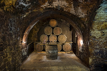 Oak barrels of Rioja wine at Carlos San Pedro Bodega winery in medieval town of Laguardia in Basque country, Spain