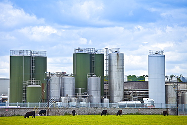 Dairygold Agri milk and cheese processing plant works at Mogeely, County Cork, Ireland